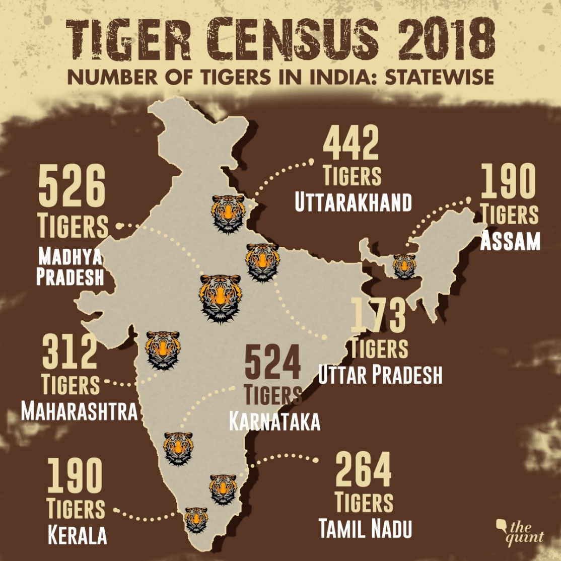 Tiger Census