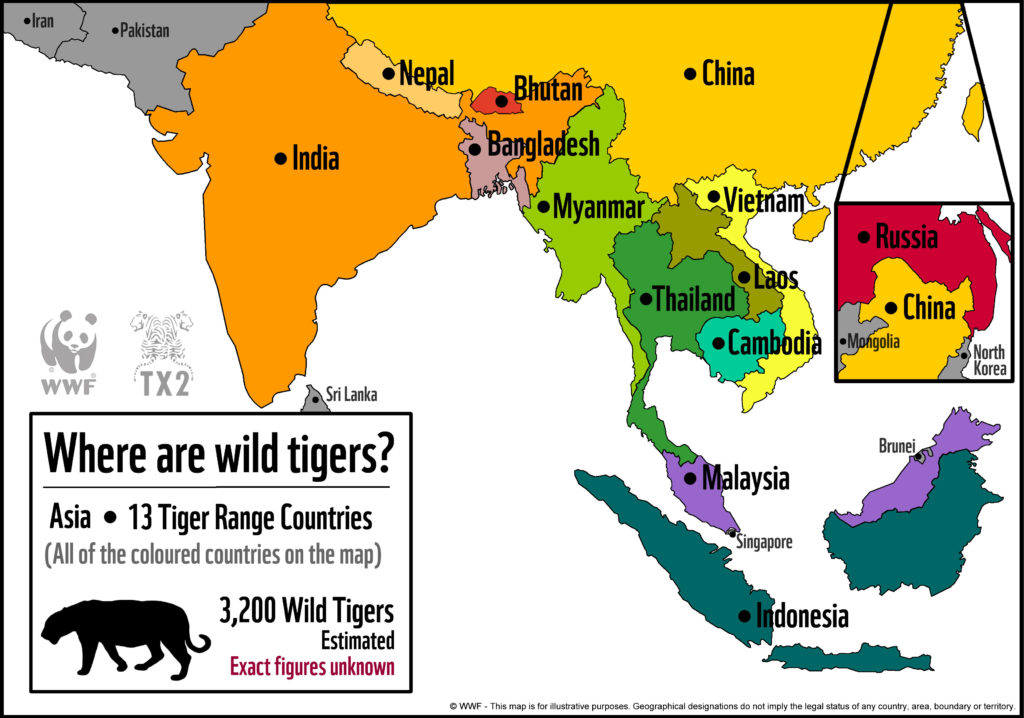 Where are tigers